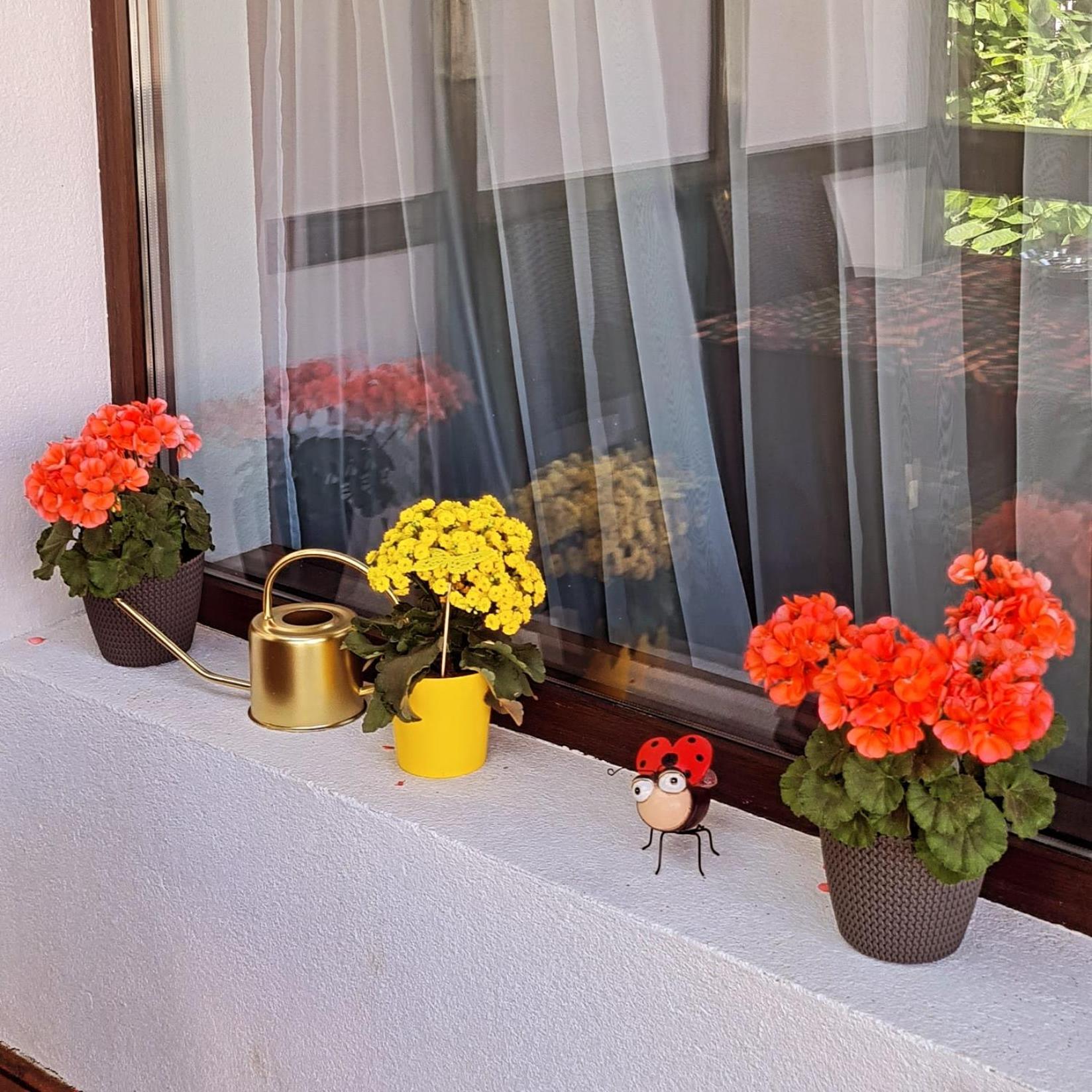 Casa Ama Villa Buşteni Exterior foto